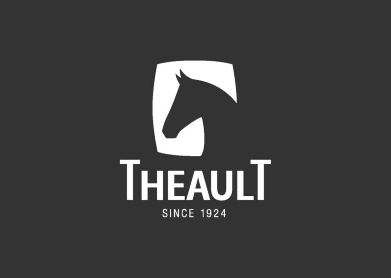 Image de placeholder avec le logo de Theault